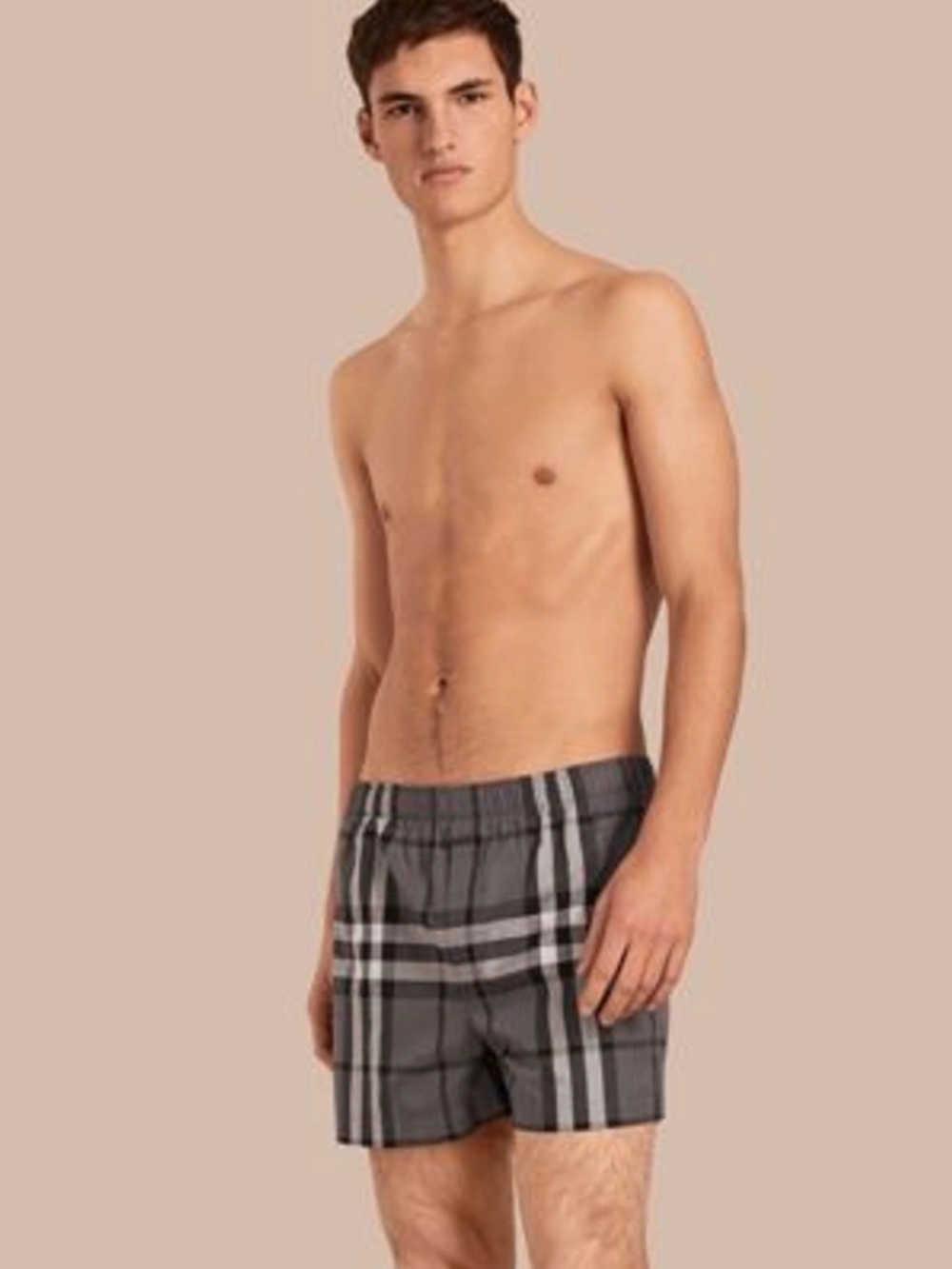 NWOT Burberry Charcoal and White Check Mens Swim Shorts Sz M